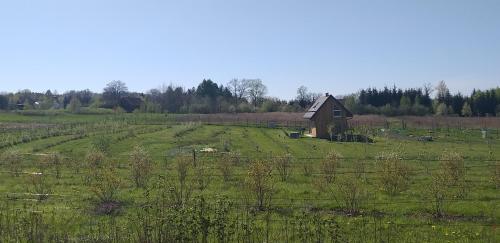 a field with a small house in the middle of it at E Berry Farm - Slow life home in Olszyna