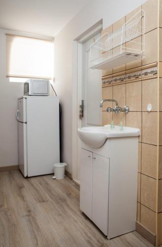 a bathroom with a sink and a refrigerator at Pokoje w Kuźnicy u Andrzeja in Kuźnica
