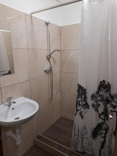 a bathroom with a sink and a shower with a shower curtain at Chata Zahradky in Belá