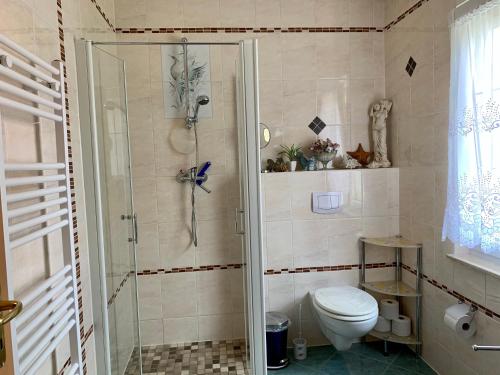 uma casa de banho com um chuveiro e um WC. em Ferienhaus Hennig em Bersteland