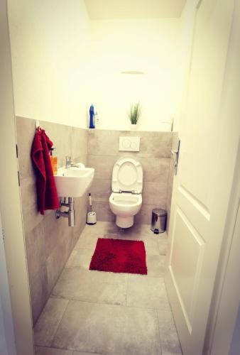 a small bathroom with a toilet and a sink at Ferienwohnung Eckberger Weinstrasse 139 in Gamlitz