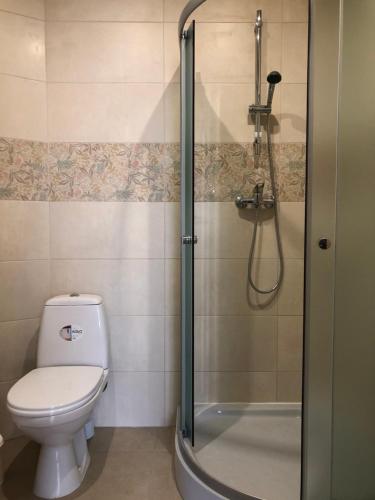 a bathroom with a toilet and a shower at Apartments IRIS in Chornomorsk