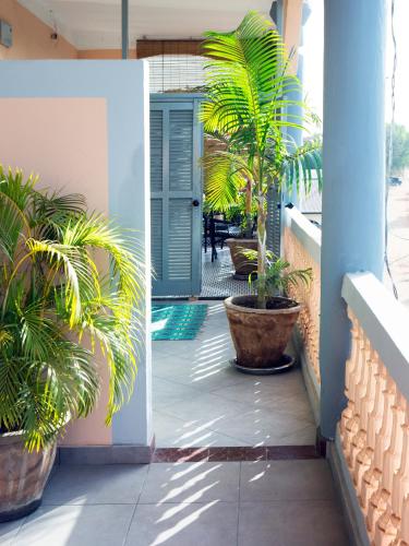 a porch with palm trees and a blue door at RoofTop Boutique Hotel Adults Only in Serekunda