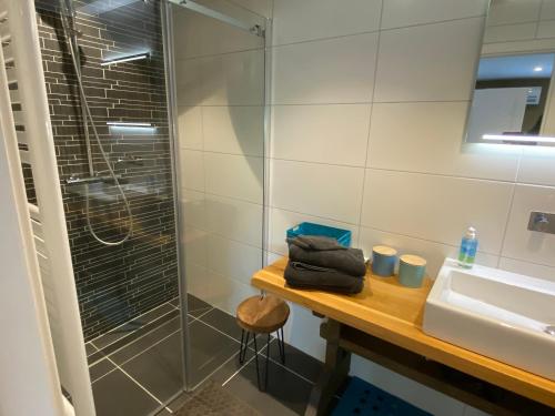 a bathroom with a shower and a sink at BenB VoornePutten in Simonshaven