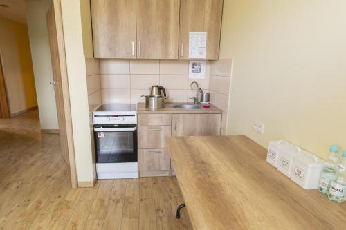 a kitchen with a sink and a stove top oven at Pokoje Gościnne Butryny in Butryny
