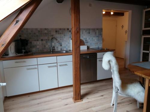 a kitchen with white cabinets and a dog in a room at FW Mittschiffs, 1 Obergeschoss, Petershof-Lehbek in Gelting