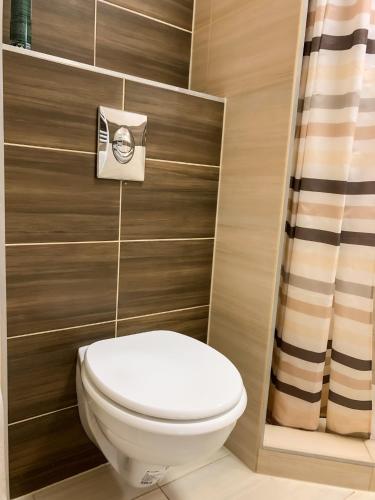 a bathroom with a toilet and a brown wall at Aranykorona Hotel in Miskolc