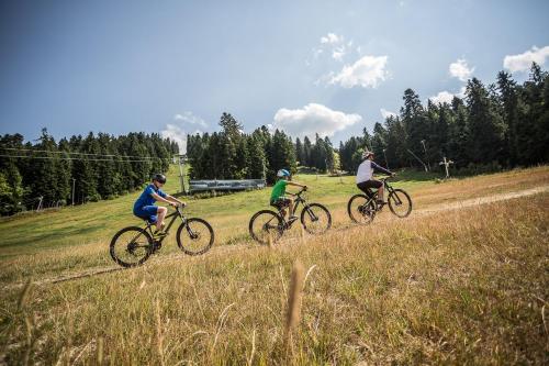 a group of three people riding bikes in a field at Rila Hotel Borovets in Borovets