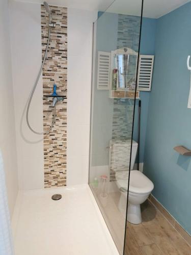 uma casa de banho com um WC e uma cabina de duche em vidro. em Chambre d'hôtes em Lunel