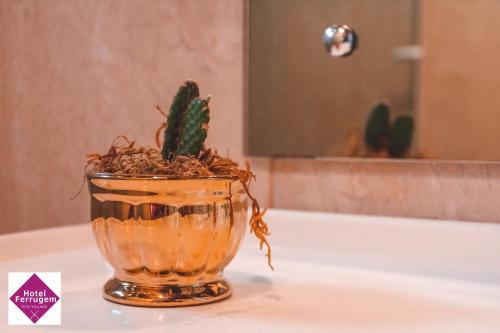 a cactus in a glass bowl on a bathroom sink at Hotel Ferrugem Eco Village in Garopaba