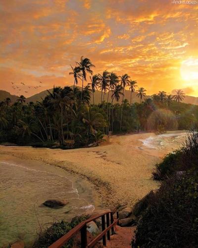 a sunset on a beach with palm trees and a fence at Hotel Jasayma dentro del Parque Tayrona in El Zaino