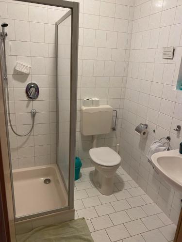 a bathroom with a shower and a toilet and a sink at Gästehaus Fischer Rohrendorf in Rohrendorf bei Krems