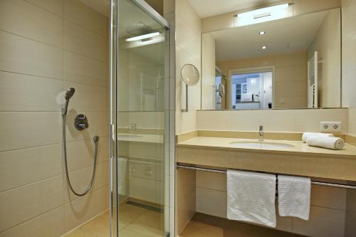 ハイリゲンダムにあるLinden-Palais Wohnung 31のバスルーム(シャワー、シンク、鏡付)