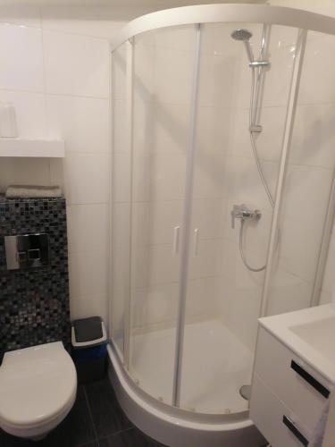 a bathroom with a shower with a toilet and a sink at Studio Park Saski 1 & 2 in Sandomierz