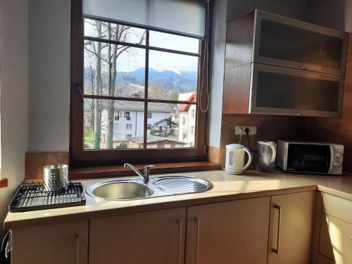 a kitchen counter with a sink and a window at Apartament 24 in Karpacz