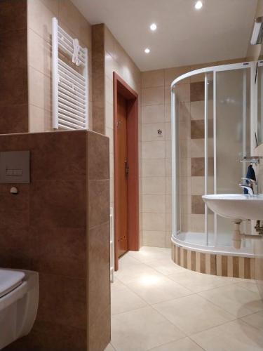 a bathroom with a toilet and a sink and a shower at Apartament 24 Karpacz in Karpacz