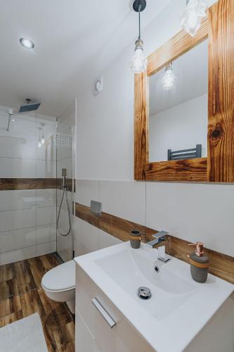 a bathroom with a sink and a toilet and a mirror at Apartamenty Truchanówka przy Dolinie Chochołowskiej in Witów