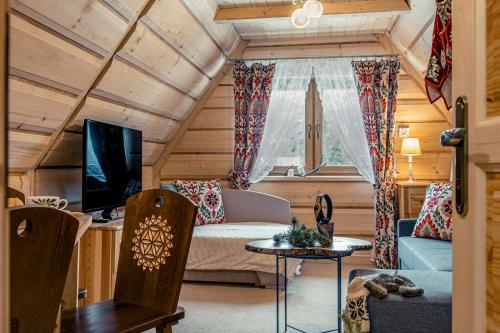 a living room with a couch and a tv at Apartamenty Truchanówka przy Dolinie Chochołowskiej in Witów