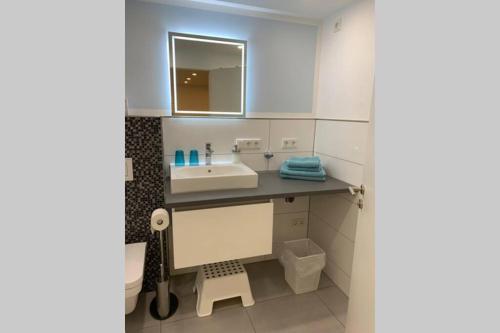 Koupelna v ubytování Modern apartment especially suited for business consultants I close to DT, DHL & UN Campus I reserved parking & personal shuttle to UN campus on demand