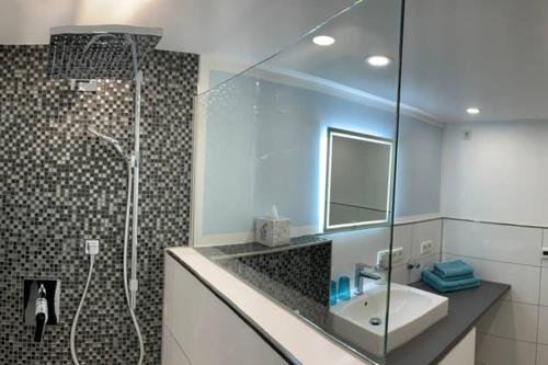 a bathroom with a shower and a sink and a mirror at Modern renovated apartment suited for business consultants in close distance to DT, DHL and UN Campus in Bonn