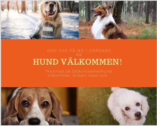 Gallery image of Bo i Gärsnäs in Gärsnäs