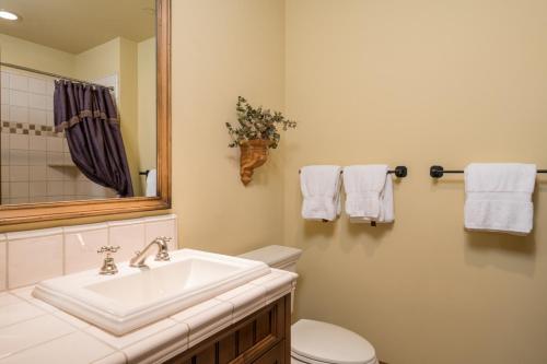 a bathroom with a sink and a toilet and a mirror at Colonnade Residence - 14 in Ketchum