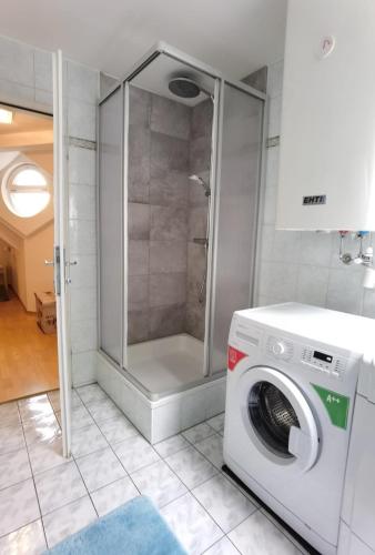 a washing machine in a bathroom with a shower at Ferienwohnung Eckberger Weinstrasse 139 in Gamlitz