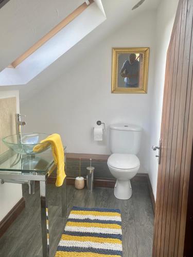 a bathroom with a toilet and a glass table at The Old Stables in Swansea