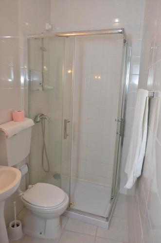 uma casa de banho com um chuveiro, um WC e um lavatório. em Alojamento Local Manuel da Parreira na Figueira da Foz