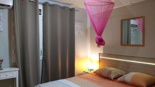 una camera con letto e tenda rosa di Agréable F2, jardin, garage, fibre, clim ch a Fort-de-France
