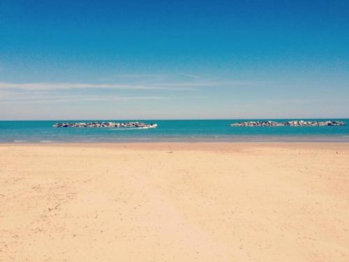 a beach with a group of birds in the water at Hotel La Terrazza in Porto San Giorgio