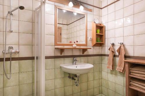 Ένα μπάνιο στο Apartments Tourist farm Matijovc