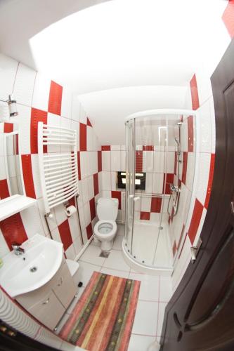 a bathroom with a shower and a toilet and a sink at La Ograda in Ponoarele