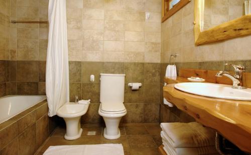 a bathroom with a toilet and a sink and a tub at CABAÑAS VILLA LUCIA "UNº1 Virreyna" in San Carlos de Bariloche
