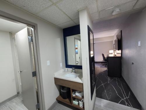 Comfort Inn Boston Milford tesisinde bir banyo