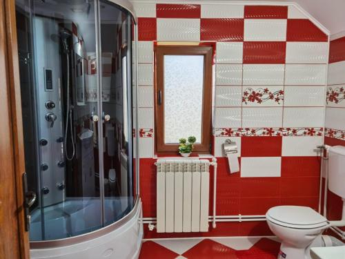 La salle de bains est pourvue d'une douche et de toilettes. dans l'établissement Casa Luca, à Vama