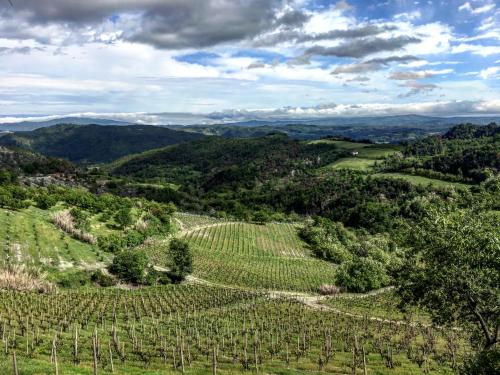 an aerial view of a vineyard in the mountains at Cascina Bertolotto Wine Resort in Spigno Monferrato