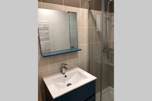 a bathroom with a sink and a glass shower at Appartement au calme dans un espace arboré in Tourrettes-sur-Loup