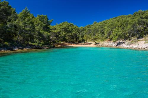 Φυσικό τοπίο κοντά σε αυτό το διαμέρισμα