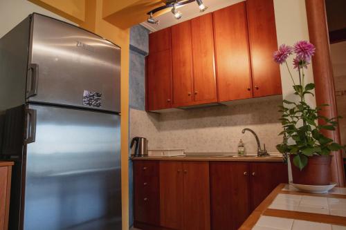Kuchyňa alebo kuchynka v ubytovaní Sunray luxury apartment Volos