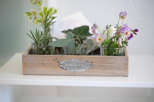 a wooden box with potted plants on a shelf at Studio Living... in Langnau