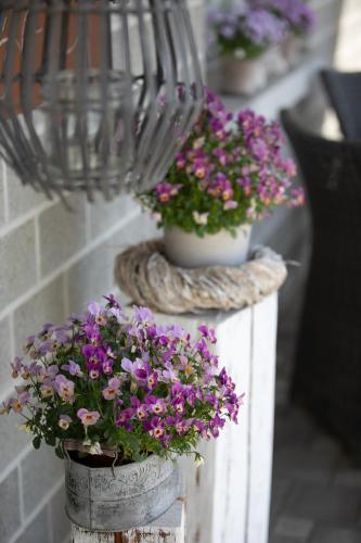 two potted flowers are sitting on a fence at Studio Living... in Langnau