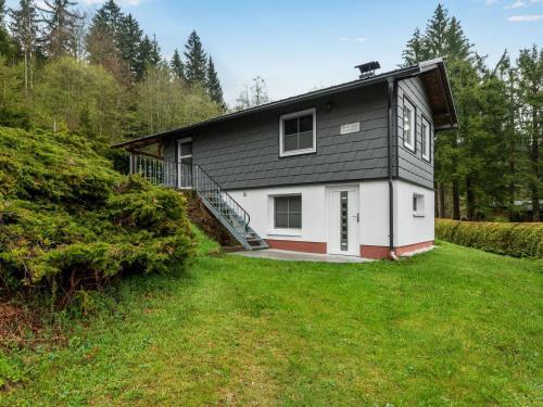 a house with a black roof and a green yard at Holiday home near the Oberhof ski resort in Kurort Steinbach-Hallenberg