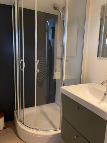 a bathroom with a shower and a sink at Wad Mooi in Tzummarum