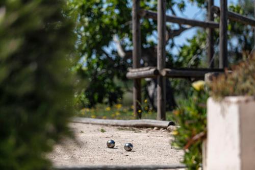 Φωτογραφία από το άλμπουμ του Casa Tuia Resort σε Carvoeiro