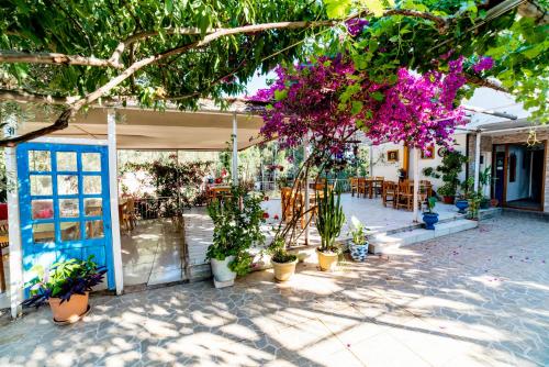 a patio with plants and flowers in pots at Eucalyptus Pension in Patara