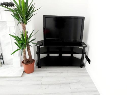 a tv on a black stand with two palm trees at Gorgeous Stylish Cheri Victorian House In Manchester in Manchester
