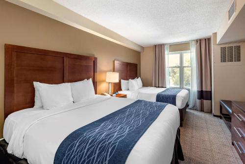 صورة لـ Comfort Inn & Suites Virginia Beach - Norfolk Airport في فرجينيا بيتش