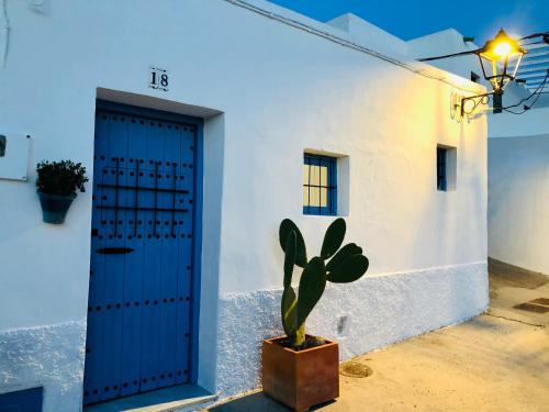 a house with a blue door and a potted plant at Damajuana in Níjar