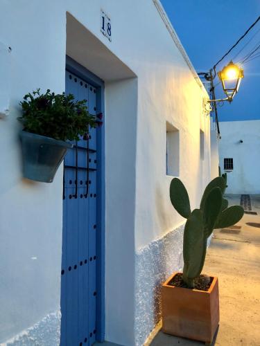 a plant in a pot sitting next to a door at Damajuana in Níjar